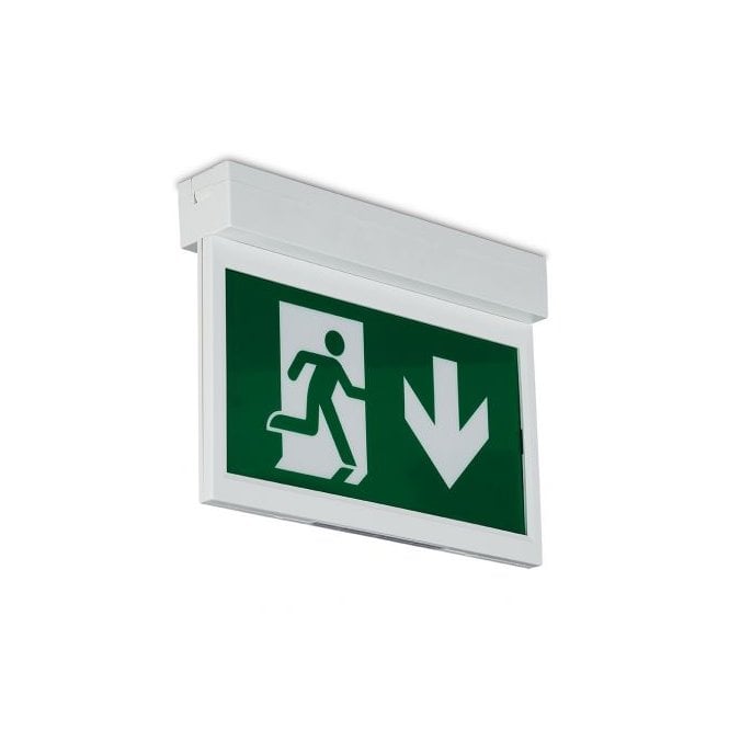 Collingwood Lighting Collingwood Lighting Salvus Emergency Exit Blade Legend - Arrow Down - Label Only