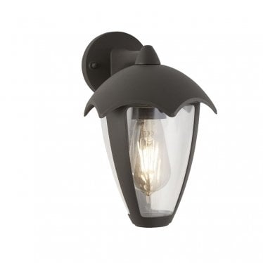 Bluebell Outdoor Wall Light - Grey & Clear Polycarbonate