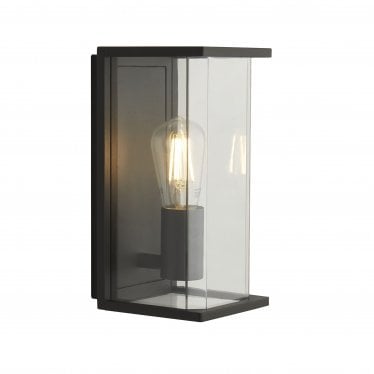 Piccadilly Outdoor Wall Light - Dark Grey & Clear Glass