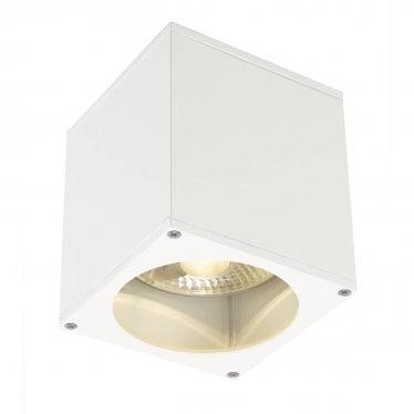 Big Theo Outdoor Ceiling Light - White - Mains