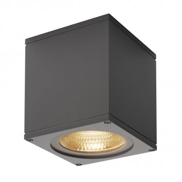 Big Theo Outdoor LED Ceiling Light - Anthracite - Mains